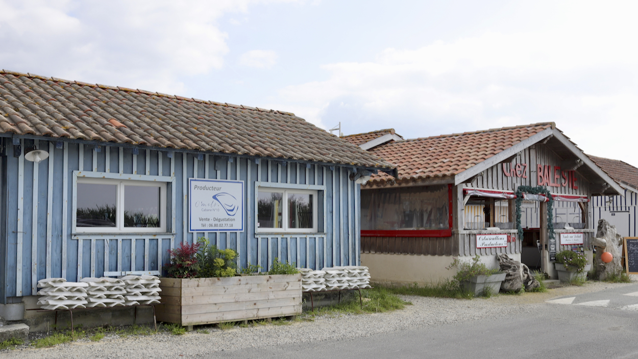 En route pour les Cevennes, le Sidobre, ..... Les Landes, les Pyrénées, mon sud-ouest  !  - Page 7 Ef8d