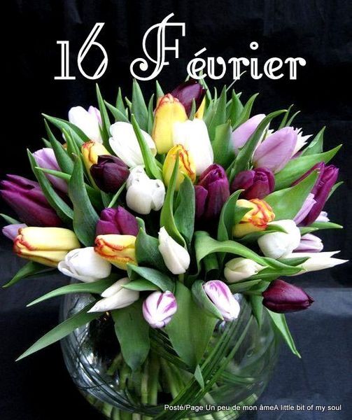 les images trouvees - Page 405