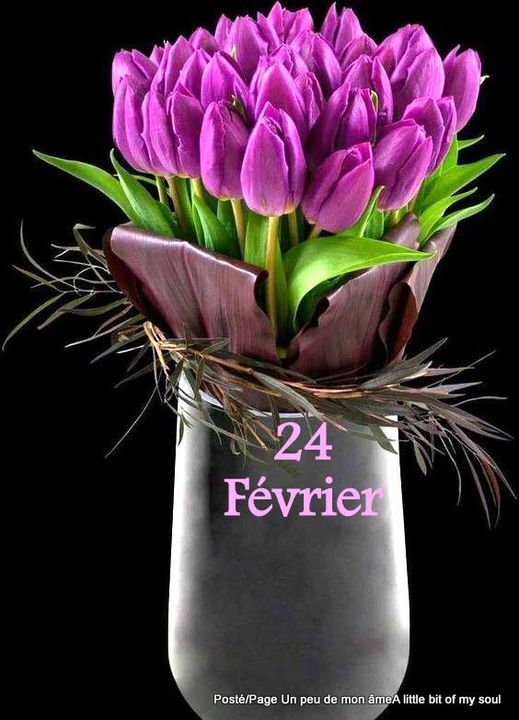 Mamie Josiane - Page 580