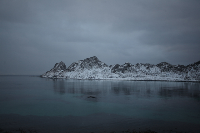 Voyage et ornithologie en Scandinavie 2024 3fjq