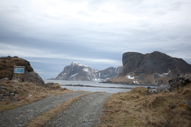 Voyage et ornithologie en Scandinavie 2024 70zr