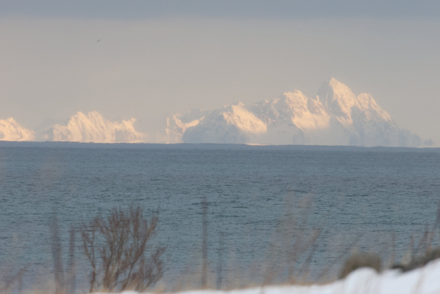 Voyage et ornithologie en Scandinavie 2024 Cipb