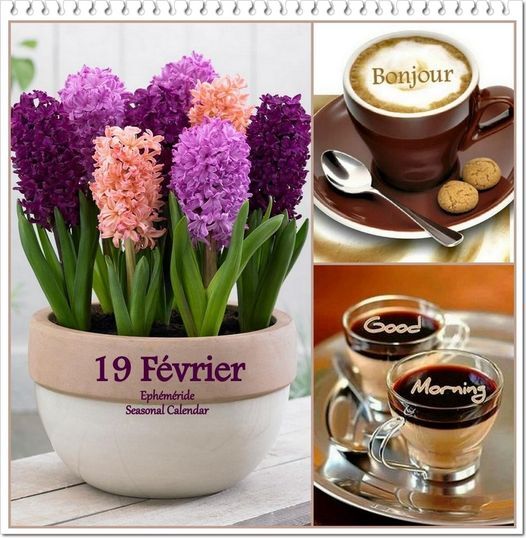 Suis à la bourre pour le Café ce matin .......