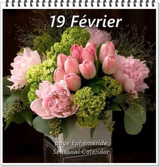 Bouquets du 19 févriier