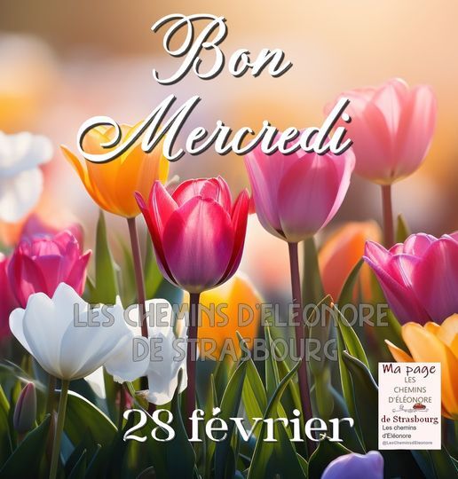 Bouquets de Tulipes du 28 Février.......