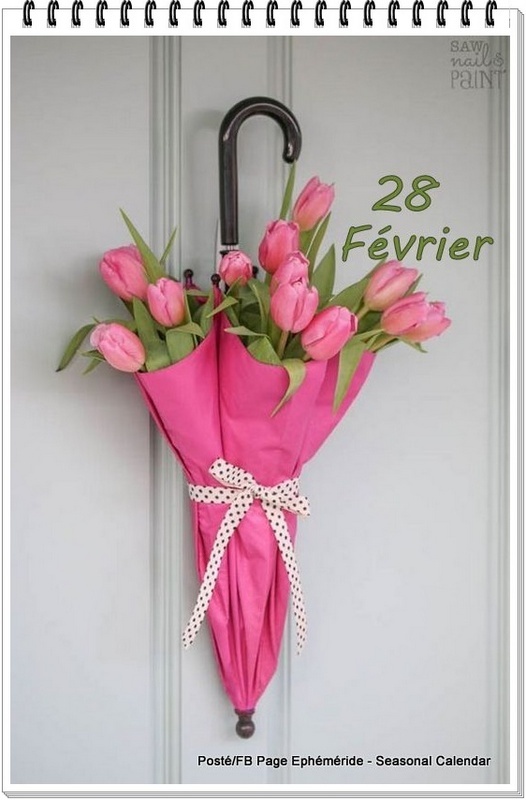 Bouquets de Tulipes du 28 Février.......