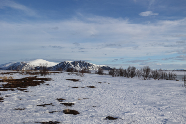 Voyage et ornithologie en Scandinavie 2024 Ejrd