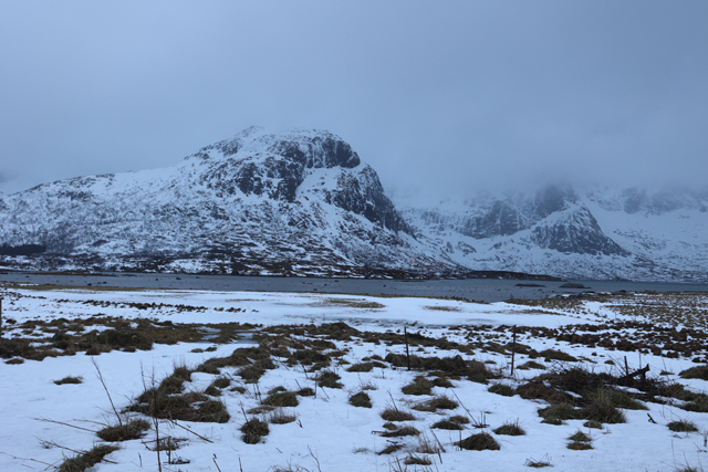 Voyage et ornithologie en Scandinavie 2024 Ziee