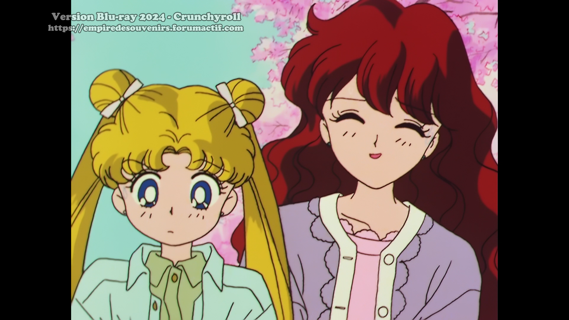 Critique Blu-ray - Sailor Moon R - Crunchyroll 6t7w