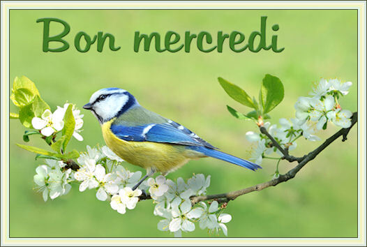 BONJOUR ET BONSOIR D AVRIL -------------------------- - Page 3 1n83