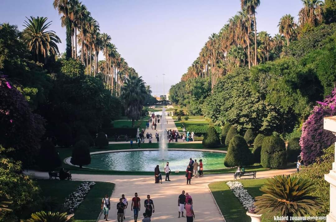 Discover The Hamma Garden “jardin d’essai” in Algiers, Algeria