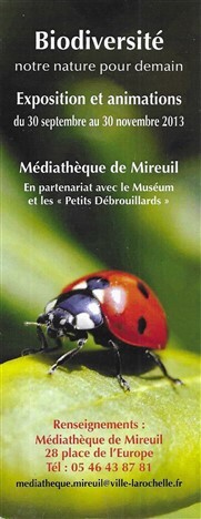 médiathèque de Mireuil Qyg7
