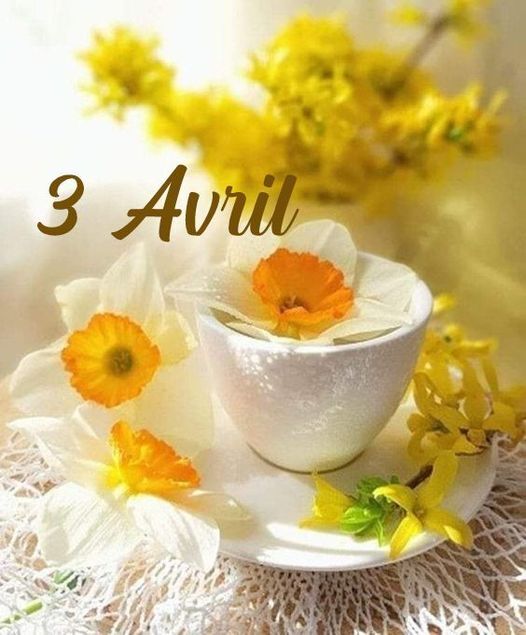 Les Bouquets du 03 Avril.....