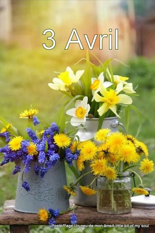 Les Bouquets du 03 Avril.....