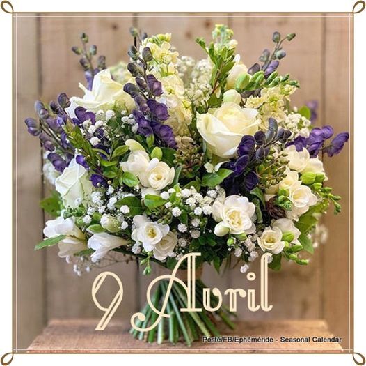 Les Bouquets du 09 Avril.....
