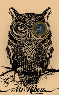 Mr Hibou