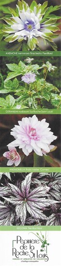 Jardineries / fleuristes Jxqm