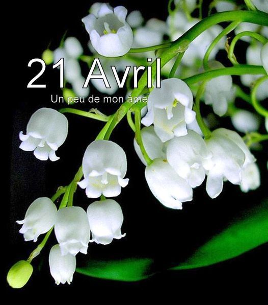 Les Bouquets du 21 Avril.....
