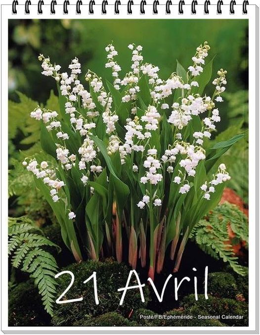 Les Bouquets du 21 Avril.....