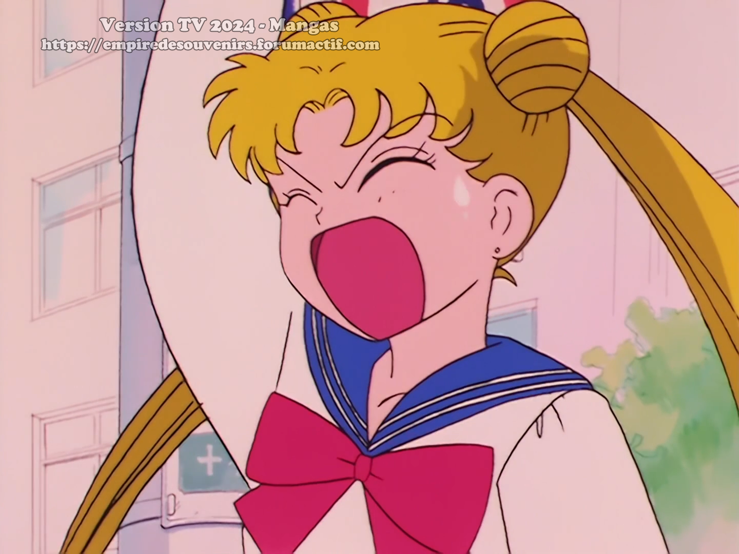 Sailor Moon sur Mangas ! 3ffw