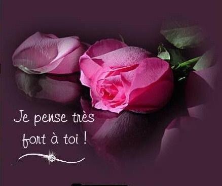 BONJOUR ET BONSOIR DE JUIN ....................... Tc1a