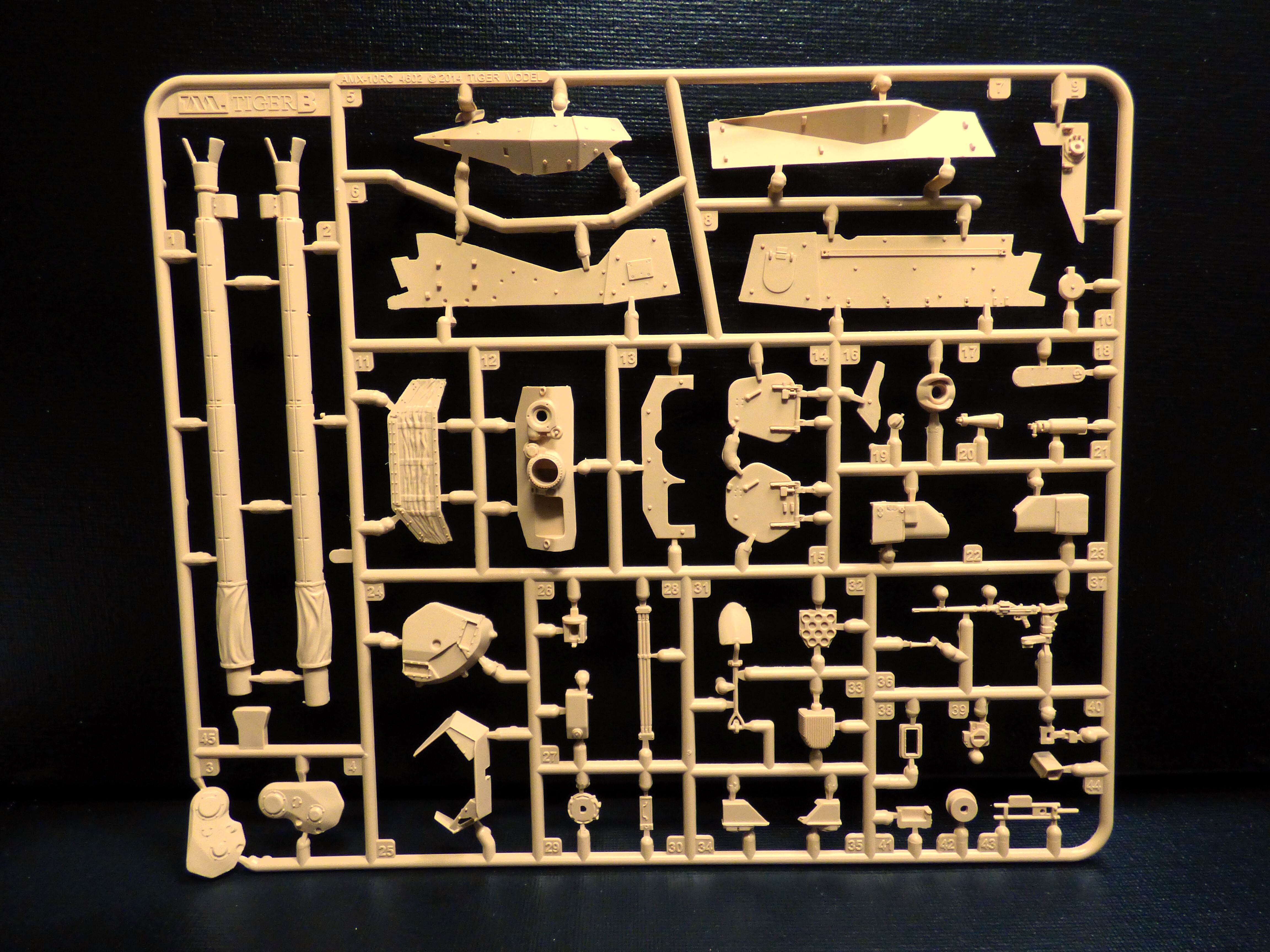 AMX 10 RCR - 1/35 - TIGER MODEL Cwhy