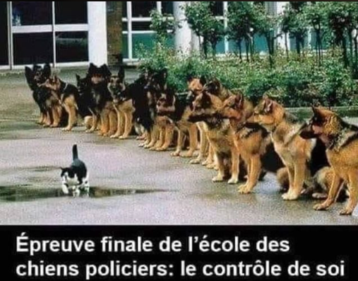 Humour uniquement en images! - Page 5 Jorb