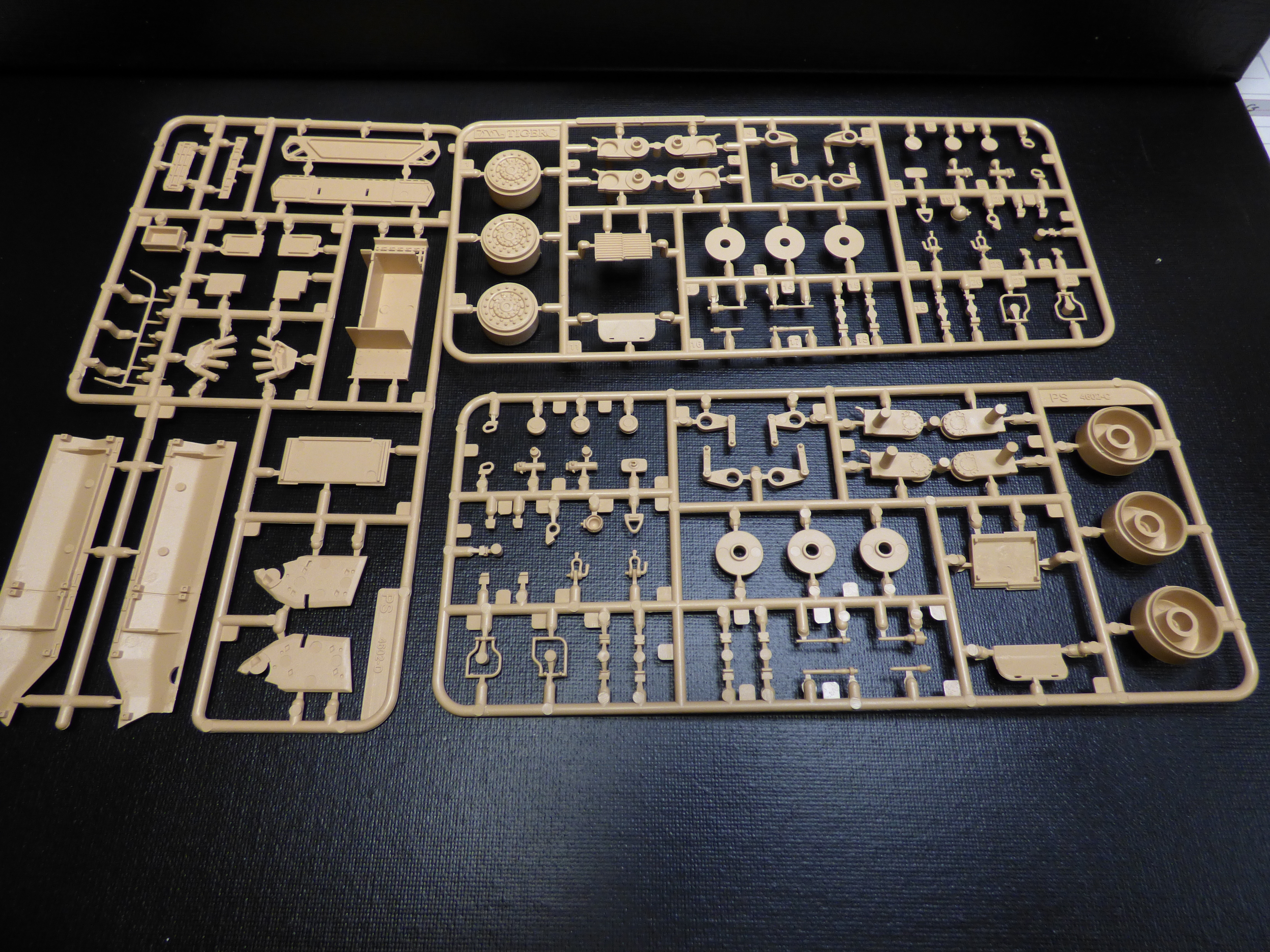 AMX 10 RCR - 1/35 - TIGER MODEL Q0ch