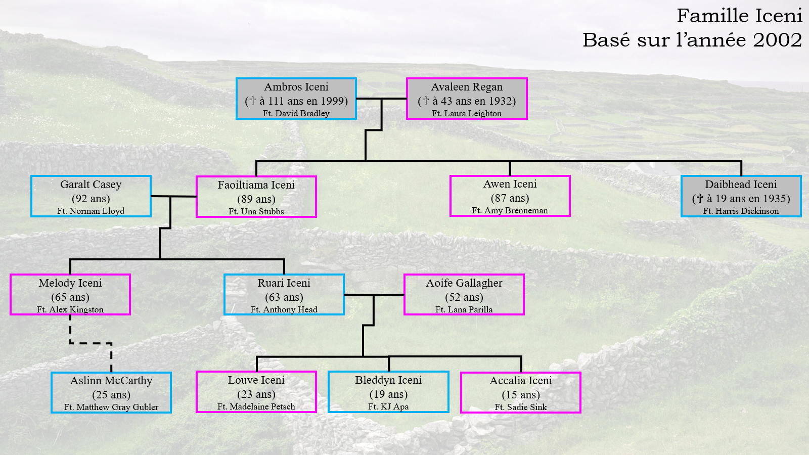 Annexe irlandaise Egjk