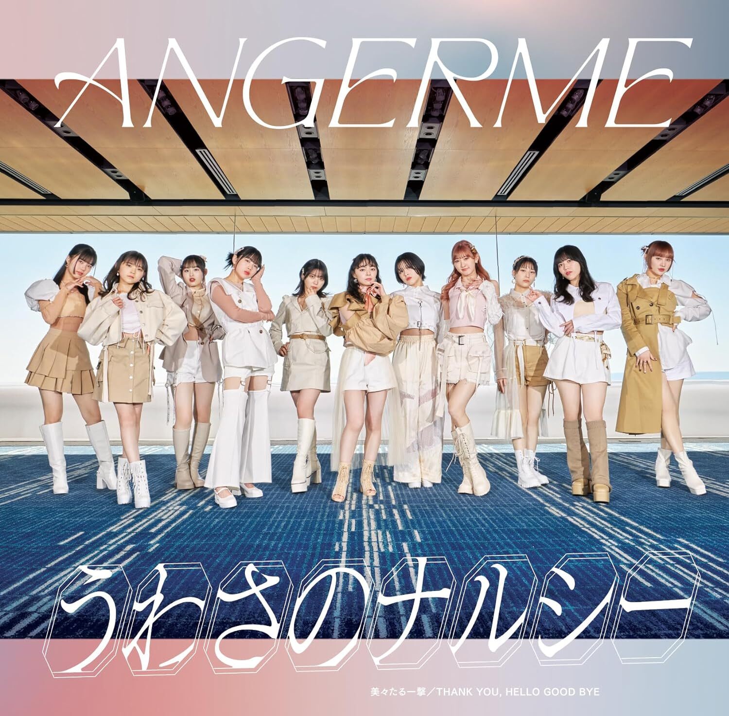 Angerme : Angerme : Bibitaru Ichigeki / Uwasa no Narcie / THANK YOU, HELLO GOOD BYE [Regular Edition Type B]
