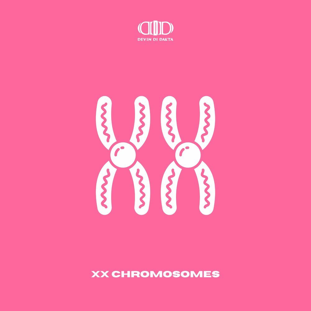 Devin Di Dakta - XX Chromosomes (Nortcoast Ambassadors / SAINTkingstonMusic) | Single 2024