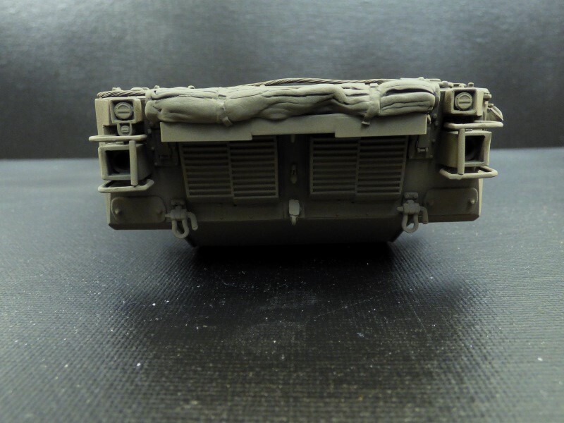 AMX 10 RCR - 1/35 - TIGER MODEL - Page 3 0zvc