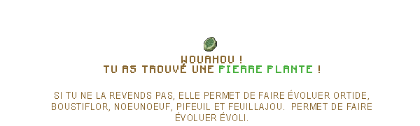 À la chasse aux fossiles et aux secrets anciens ! (Alvaréo) Apsl