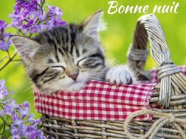 BONJOUR ET BONSOIR DE JUIN ....................... - Page 4 4ya3