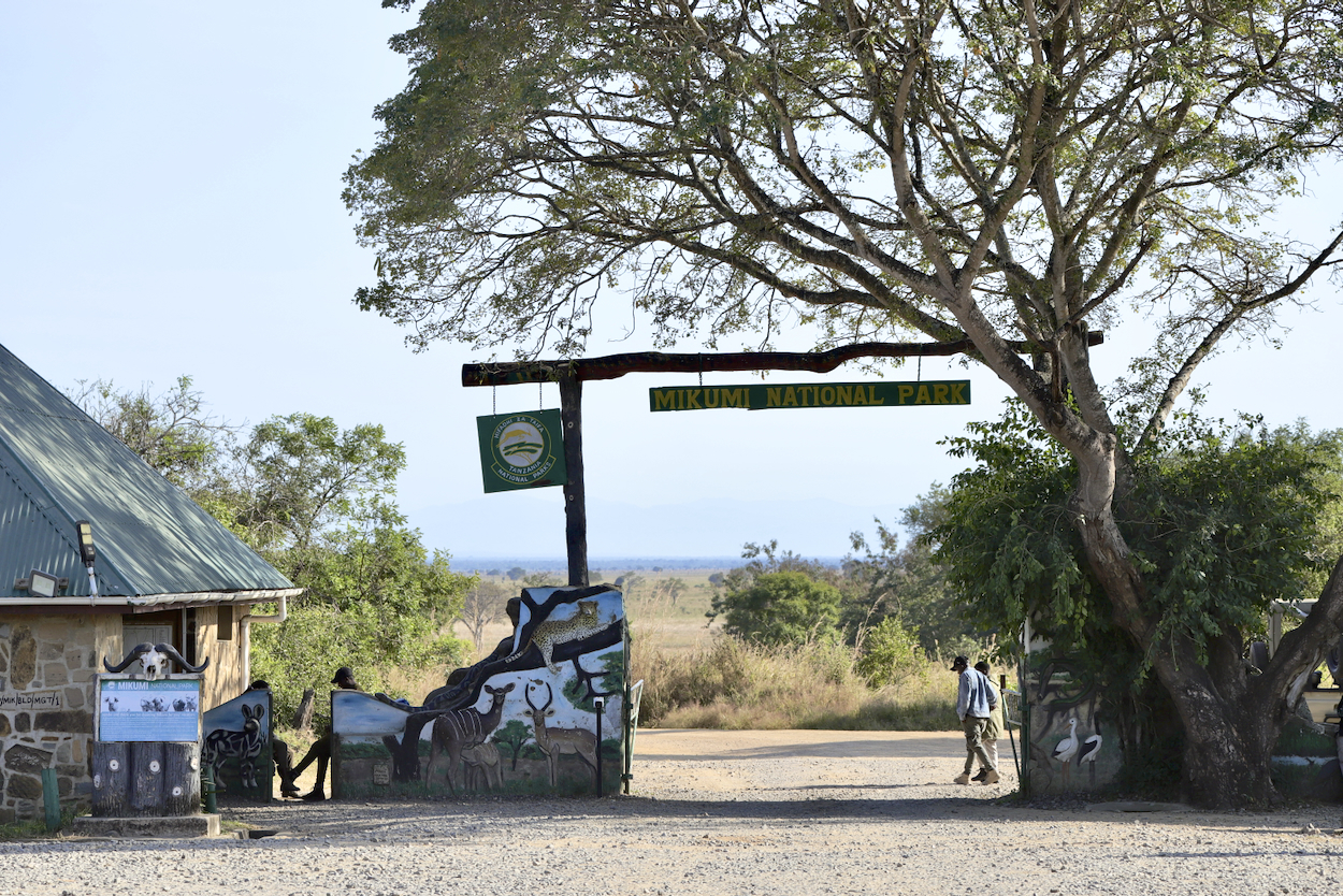 -- En SAFARI dans le Sud de la TANZANIE  - Juin 2024  -- FIN le 17/08/24 -- - Page 7 S808