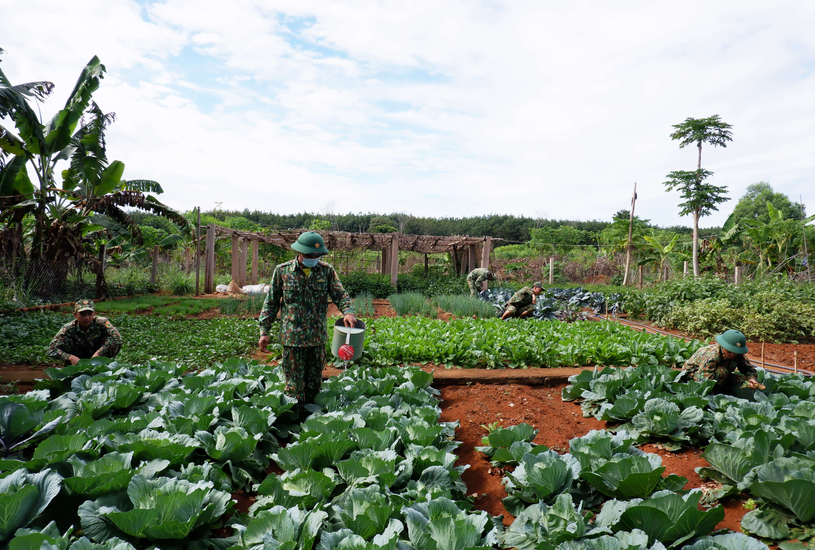 Réservistes des "corvées au service armé", région de Manawaliyapo dans la province du Jingyu.