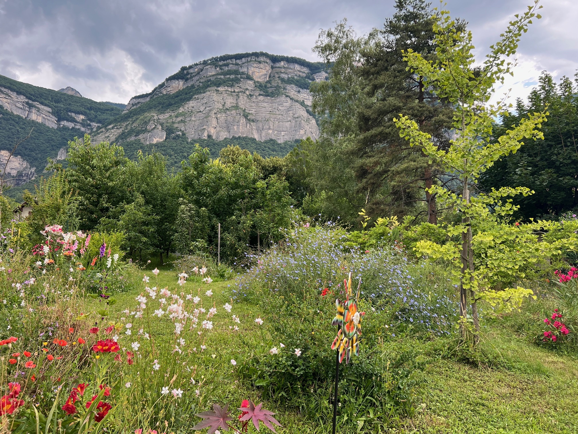 Jardinage, plantes, fleurs... - Page 13 0wbj