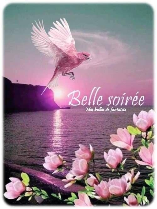 BONJOUR ET BONSOIR D' AOUT........................... 7u1w