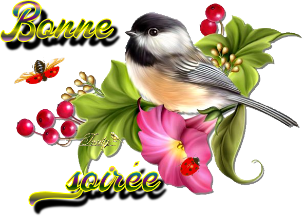 BONJOUR ET BONSOIR D' AOUT........................... Ify8