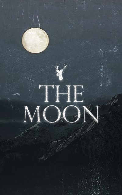 The Moon