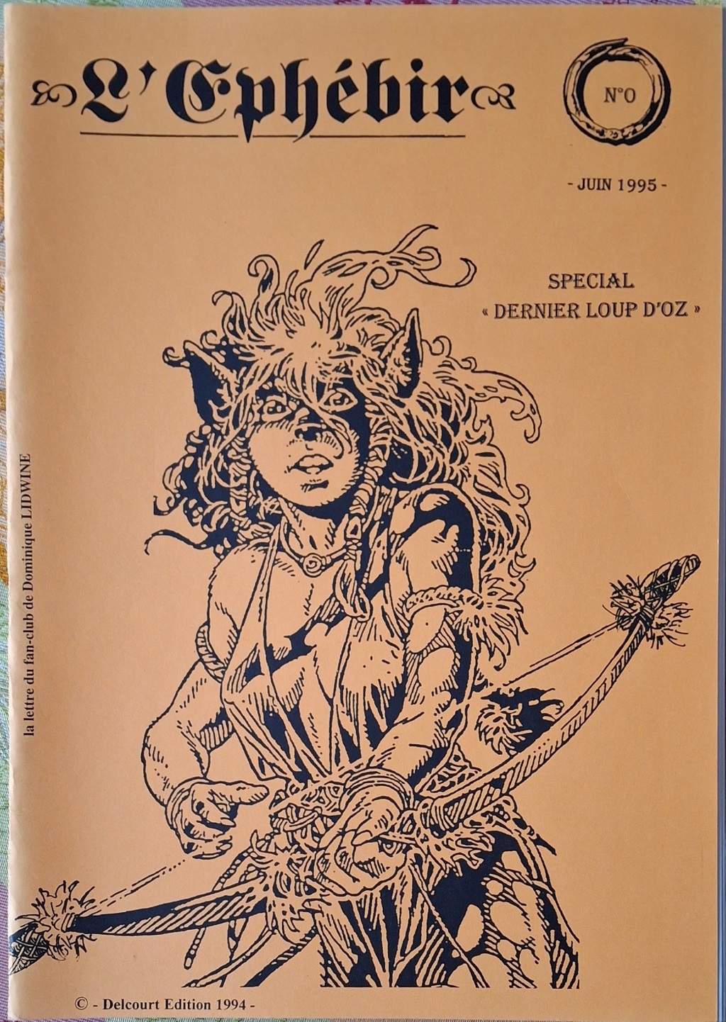 Revues diverses en vrac (fanzines -bd ou d'études-bédé, prozine, revues en kiosque confidentielles voire obscures)... 8jpg