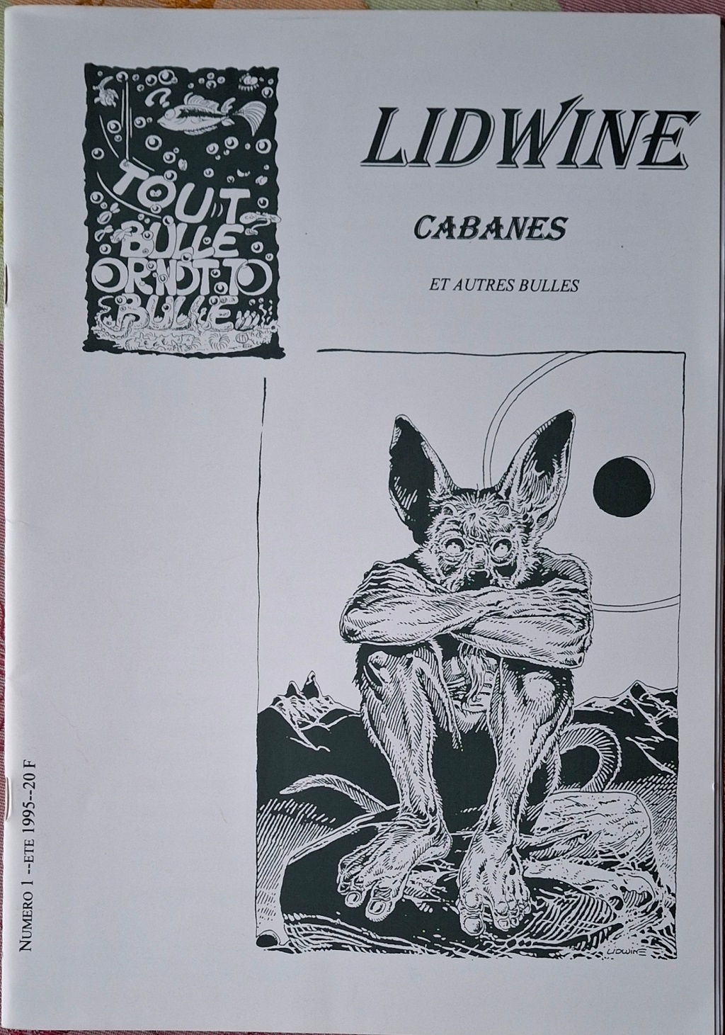 Revues diverses en vrac (fanzines -bd ou d'études-bédé, prozine, revues en kiosque confidentielles voire obscures)... Qipn