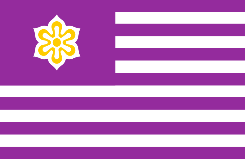 Drapeau de Lerant