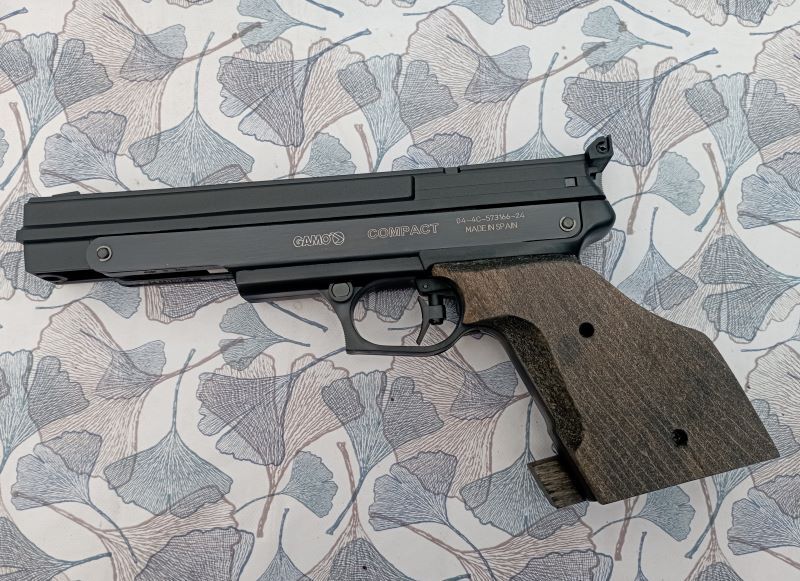  question Gamo compact - Page 2 Fs0u