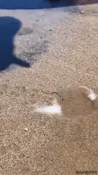 https://zupimages.net/up/24/39/n652.gif
