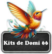 Les kits de Domi66