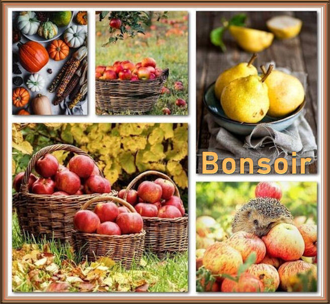 ..........BONJOUR ET BONSOIR D OCTOBRE............ Dhgw