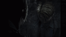 x0sr.gif