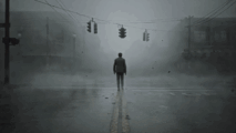 zib3.gif