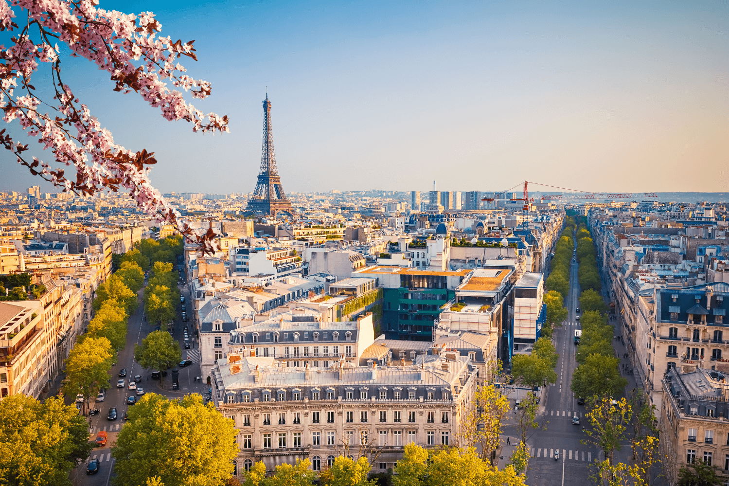 Panoramic view of Paris with the Eiffel Tower, cherry blossom branches, and tree-lined streets during springtime.